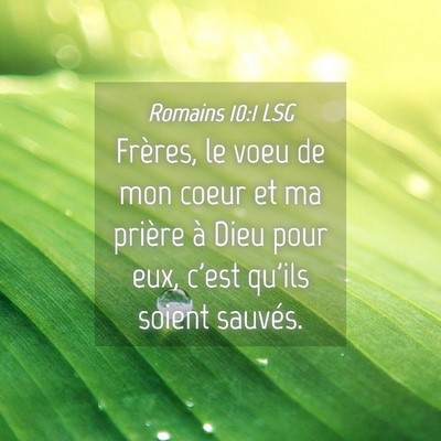 Picture 04 - Romains 10:1 LSG - Frères, le voeu de mon coeur et ma prière à - Bible Verse Picture