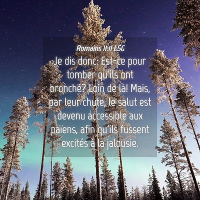 Picture 04 - Romains 11:11 LSG - Je dis donc: Est-ce pour tomber qu'ils ont - Bible Verse Picture