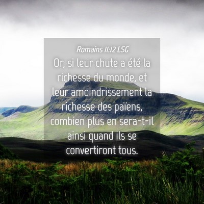 Picture 04 - Romains 11:12 LSG - Or, si leur chute a été la richesse du monde, - Bible Verse Picture