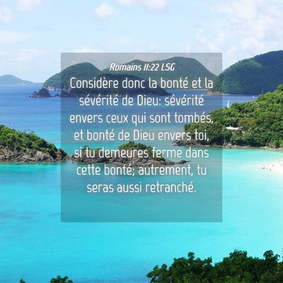 Picture 04 - Romains 11:22 LSG - Considère donc la bonté et la sévérité de - Bible Verse Picture