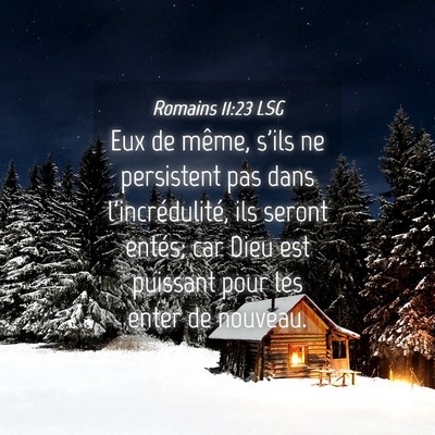 Picture 04 - Romains 11:23 LSG - Eux de même, s'ils ne persistent pas dans - Bible Verse Picture