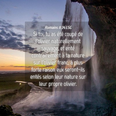 Picture 04 - Romains 11:24 LSG - Si toi, tu as été coupé de l'olivier - Bible Verse Picture
