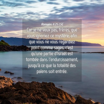 Picture 04 - Romains 11:25 LSG - Car je ne veux pas, frères, que vous ignoriez ce - Bible Verse Picture