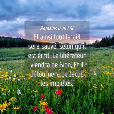 Picture 04 - Romains 11:26 LSG - Et ainsi tout Israël sera sauvé, selon qu'il - Bible Verse Picture