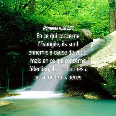 Picture 04 - Romains 11:28 LSG - En ce qui concerne l'Evangile, ils sont ennemis - Bible Verse Picture