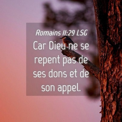 Picture 04 - Romains 11:29 LSG - Car Dieu ne se repent pas de ses dons et de son - Bible Verse Picture