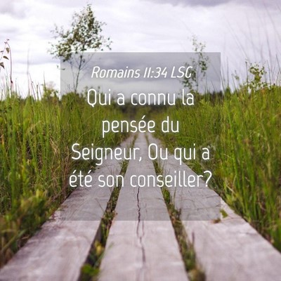 Picture 04 - Romains 11:34 LSG - Qui a connu la pensée du Seigneur, Ou qui a - Bible Verse Picture