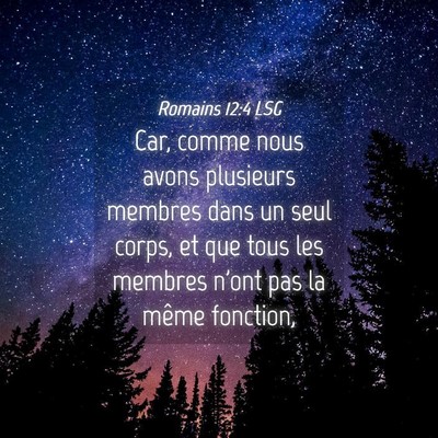 Picture 04 - Romains 12:4 LSG - Car, comme nous avons plusieurs membres dans un - Bible Verse Picture
