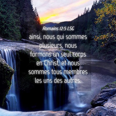 Picture 04 - Romains 12:5 LSG - ainsi, nous qui sommes plusieurs, nous formons un - Bible Verse Picture