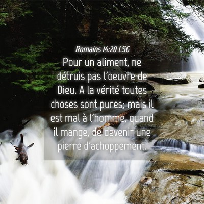 Picture 04 - Romains 14:20 LSG - Pour un aliment, ne détruis pas l'oeuvre de - Bible Verse Picture