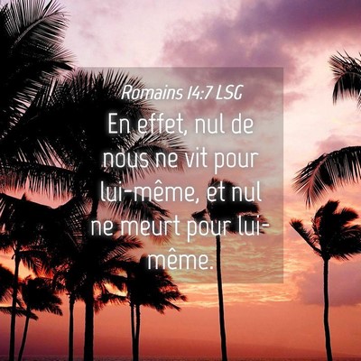 Picture 04 - Romains 14:7 LSG - En effet, nul de nous ne vit pour lui-même, et - Bible Verse Picture
