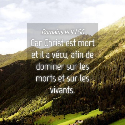 Picture 04 - Romains 14:9 LSG - Car Christ est mort et il a vécu, afin de - Bible Verse Picture