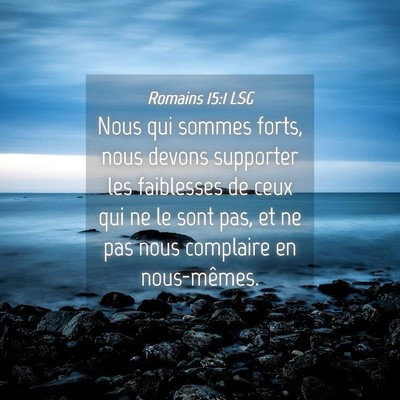 Picture 04 - Romains 15:1 LSG - Nous qui sommes forts, nous devons supporter les - Bible Verse Picture