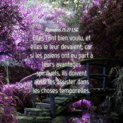 Picture 04 - Romains 15:27 LSG - Elles l'ont bien voulu, et elles le leur - Bible Verse Picture
