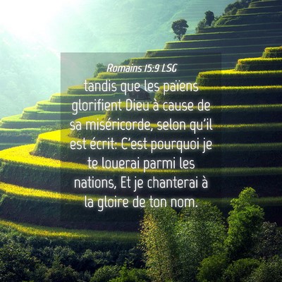 Picture 04 - Romains 15:9 LSG - tandis que les païens glorifient Dieu à cause - Bible Verse Picture