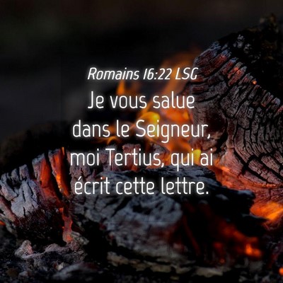 Picture 04 - Romains 16:22 LSG - Je vous salue dans le Seigneur, moi Tertius, qui - Bible Verse Picture