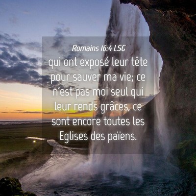 Picture 04 - Romains 16:4 LSG - qui ont exposé leur tête pour sauver ma vie; ce - Bible Verse Picture