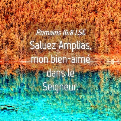 Picture 04 - Romains 16:8 LSG - Saluez Amplias, mon bien-aimé dans le - Bible Verse Picture