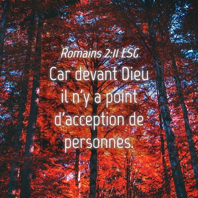 Picture 04 - Romains 2:11 LSG - Car devant Dieu il n'y a point d'acception de - Bible Verse Picture