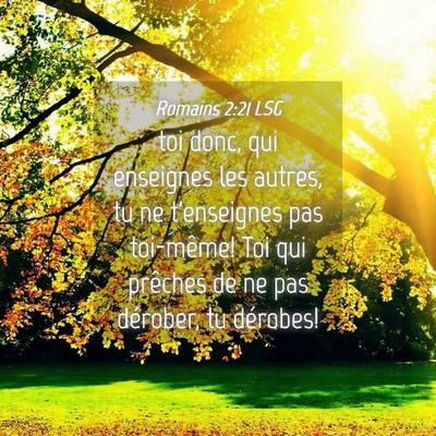 Picture 04 - Romains 2:21 LSG - toi donc, qui enseignes les autres, tu ne - Bible Verse Picture