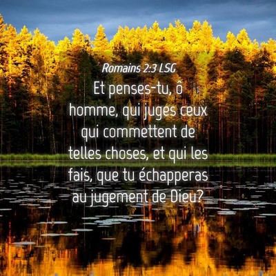 Picture 04 - Romains 2:3 LSG - Et penses-tu, ô homme, qui juges ceux qui - Bible Verse Picture