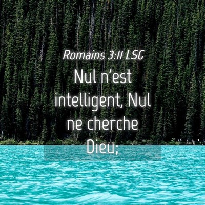 Picture 04 - Romains 3:11 LSG - Nul n'est intelligent, Nul ne cherche - Bible Verse Picture