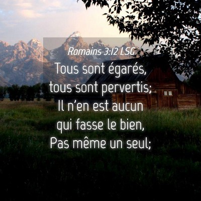 Picture 04 - Romains 3:12 LSG - Tous sont égarés, tous sont pervertis; Il n'en - Bible Verse Picture