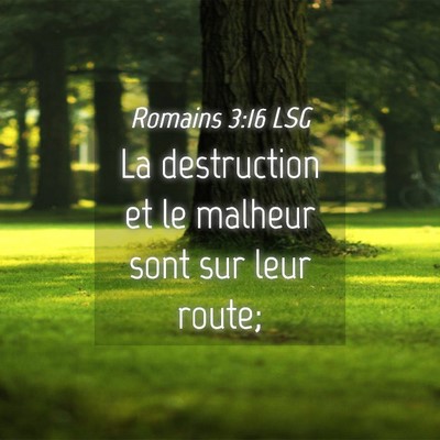 Picture 04 - Romains 3:16 LSG - La destruction et le malheur sont sur leur - Bible Verse Picture