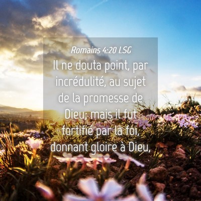 Picture 04 - Romains 4:20 LSG - Il ne douta point, par incrédulité, au sujet de - Bible Verse Picture