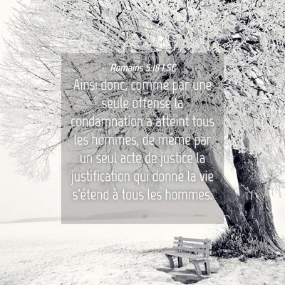 Picture 04 - Romains 5:18 LSG - Ainsi donc, comme par une seule offense la - Bible Verse Picture
