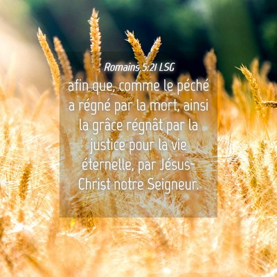 Picture 04 - Romains 5:21 LSG - afin que, comme le péché a régné par la mort, - Bible Verse Picture