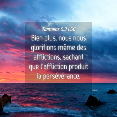 Picture 04 - Romains 5:3 LSG - Bien plus, nous nous glorifions même des - Bible Verse Picture