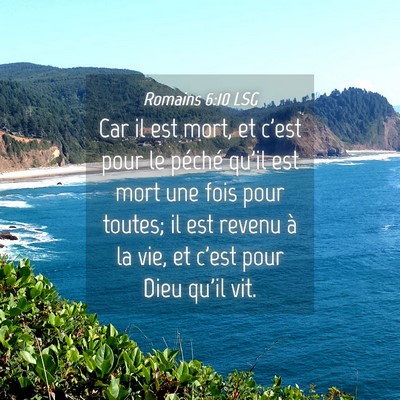 Picture 04 - Romains 6:10 LSG - Car il est mort, et c'est pour le péché qu'il - Bible Verse Picture