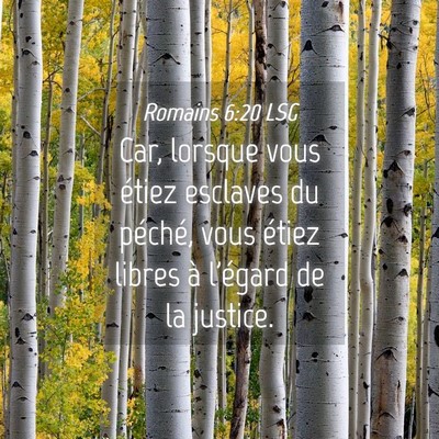 Picture 04 - Romains 6:20 LSG - Car, lorsque vous étiez esclaves du péché, - Bible Verse Picture