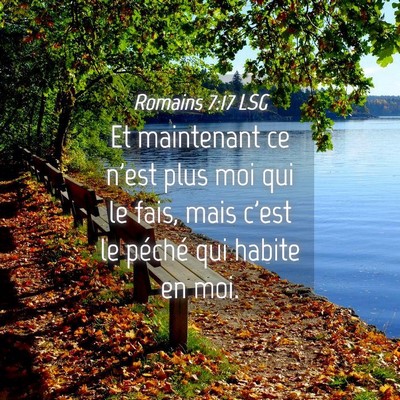 Picture 04 - Romains 7:17 LSG - Et maintenant ce n'est plus moi qui le fais, mais - Bible Verse Picture