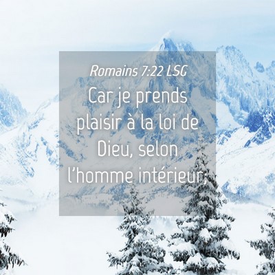 Picture 04 - Romains 7:22 LSG - Car je prends plaisir à la loi de Dieu, selon - Bible Verse Picture
