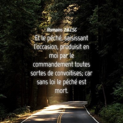 Picture 04 - Romains 7:8 LSG - Et le péché, saisissant l'occasion, produisit - Bible Verse Picture