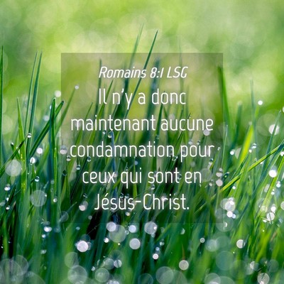 Picture 04 - Romains 8:1 LSG - Il n'y a donc maintenant aucune condamnation pour - Bible Verse Picture