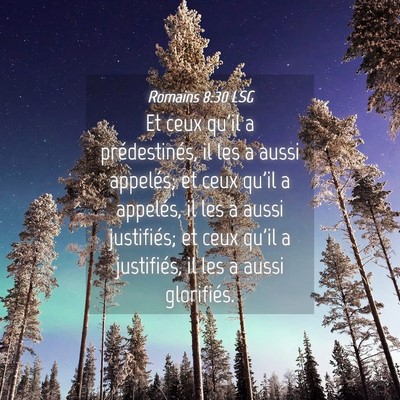 Picture 04 - Romains 8:30 LSG - Et ceux qu'il a prédestinés, il les a aussi - Bible Verse Picture