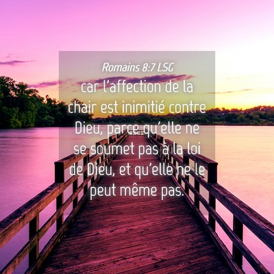 Picture 04 - Romains 8:7 LSG - car l'affection de la chair est inimitié contre - Bible Verse Picture