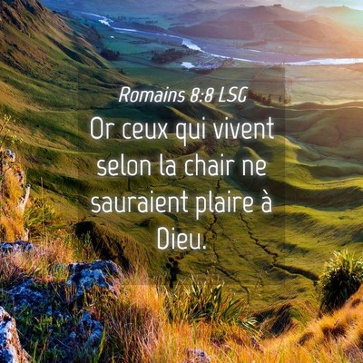 Picture 04 - Romains 8:8 LSG - Or ceux qui vivent selon la chair ne sauraient - Bible Verse Picture