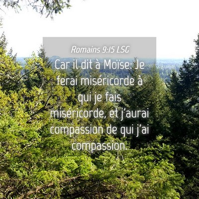 Picture 04 - Romains 9:15 LSG - Car il dit à Moïse: Je ferai miséricorde à - Bible Verse Picture