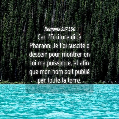 Picture 04 - Romains 9:17 LSG - Car l'Ecriture dit à Pharaon: Je t'ai suscité - Bible Verse Picture