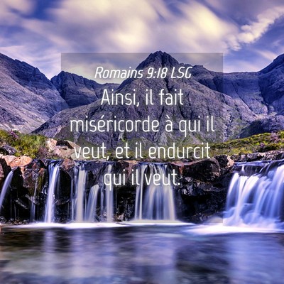 Picture 04 - Romains 9:18 LSG - Ainsi, il fait miséricorde à qui il veut, et il - Bible Verse Picture