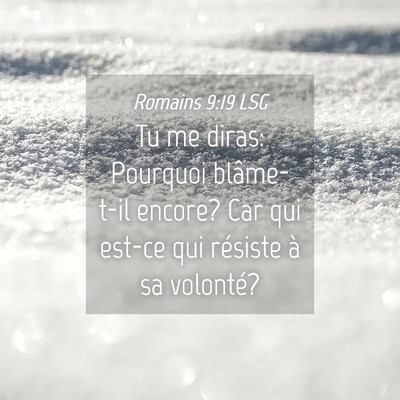 Picture 04 - Romains 9:19 LSG - Tu me diras: Pourquoi blâme-t-il encore? Car qui - Bible Verse Picture
