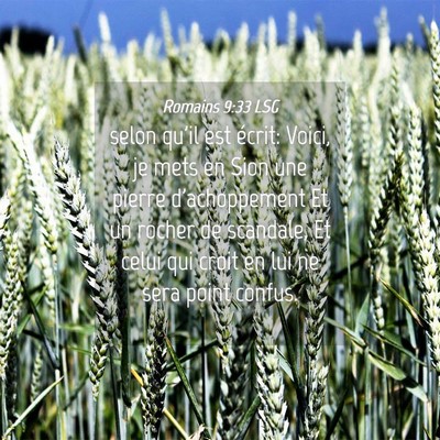 Picture 04 - Romains 9:33 LSG - selon qu'il est écrit: Voici, je mets en Sion - Bible Verse Picture