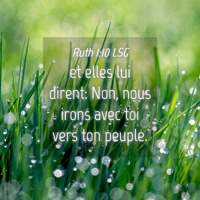 Picture 04 - Ruth 1:10 LSG - et elles lui dirent: Non, nous irons avec toi - Bible Verse Picture