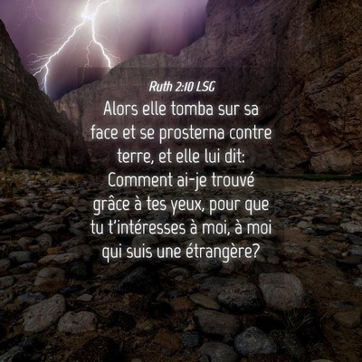 Picture 04 - Ruth 2:10 LSG - Alors elle tomba sur sa face et se prosterna - Bible Verse Picture