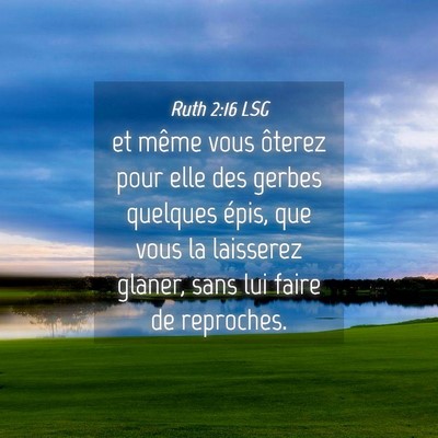 Picture 04 - Ruth 2:16 LSG - et même vous ôterez pour elle des gerbes - Bible Verse Picture