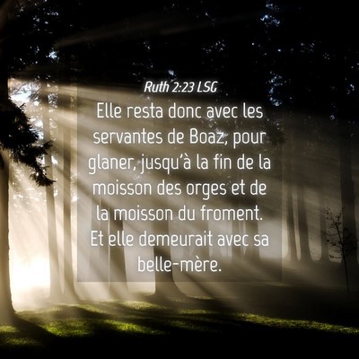 Picture 04 - Ruth 2:23 LSG - Elle resta donc avec les servantes de Boaz, pour - Bible Verse Picture